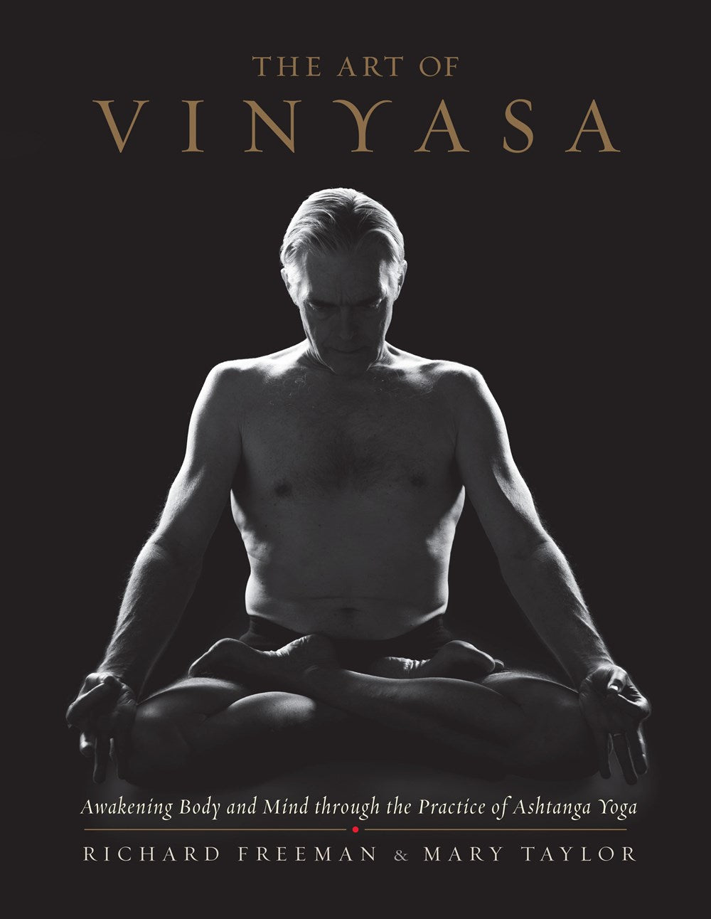 The Art Of Vinyasa by Richard Freeman & Mary Taylor