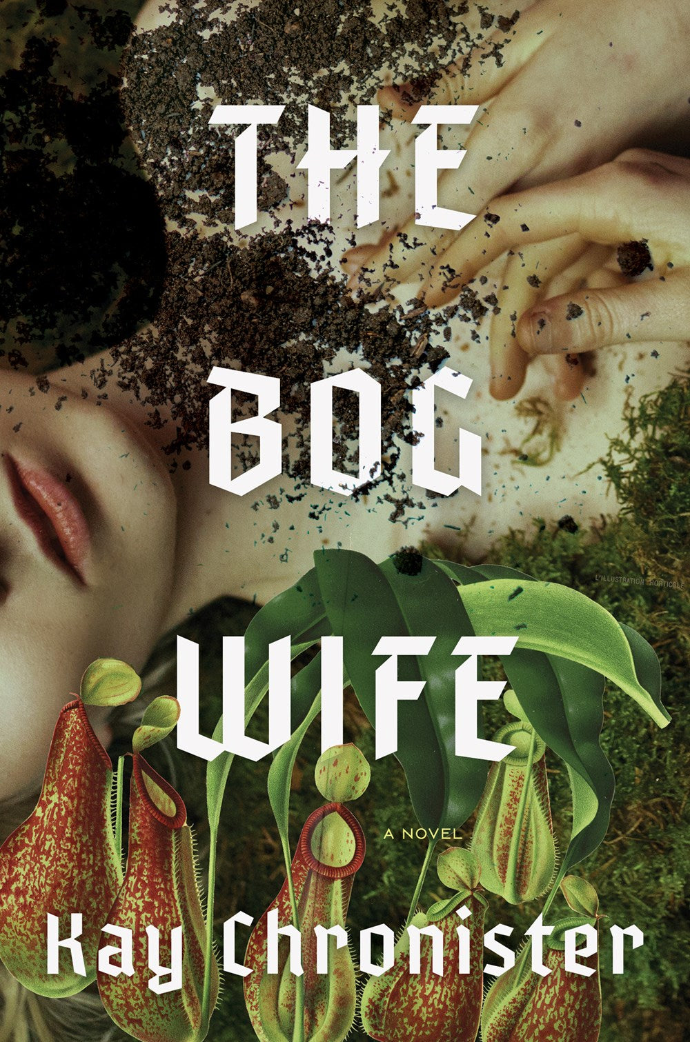 The Bog Wife: A Novel by Kay Chronister (10/1/24)