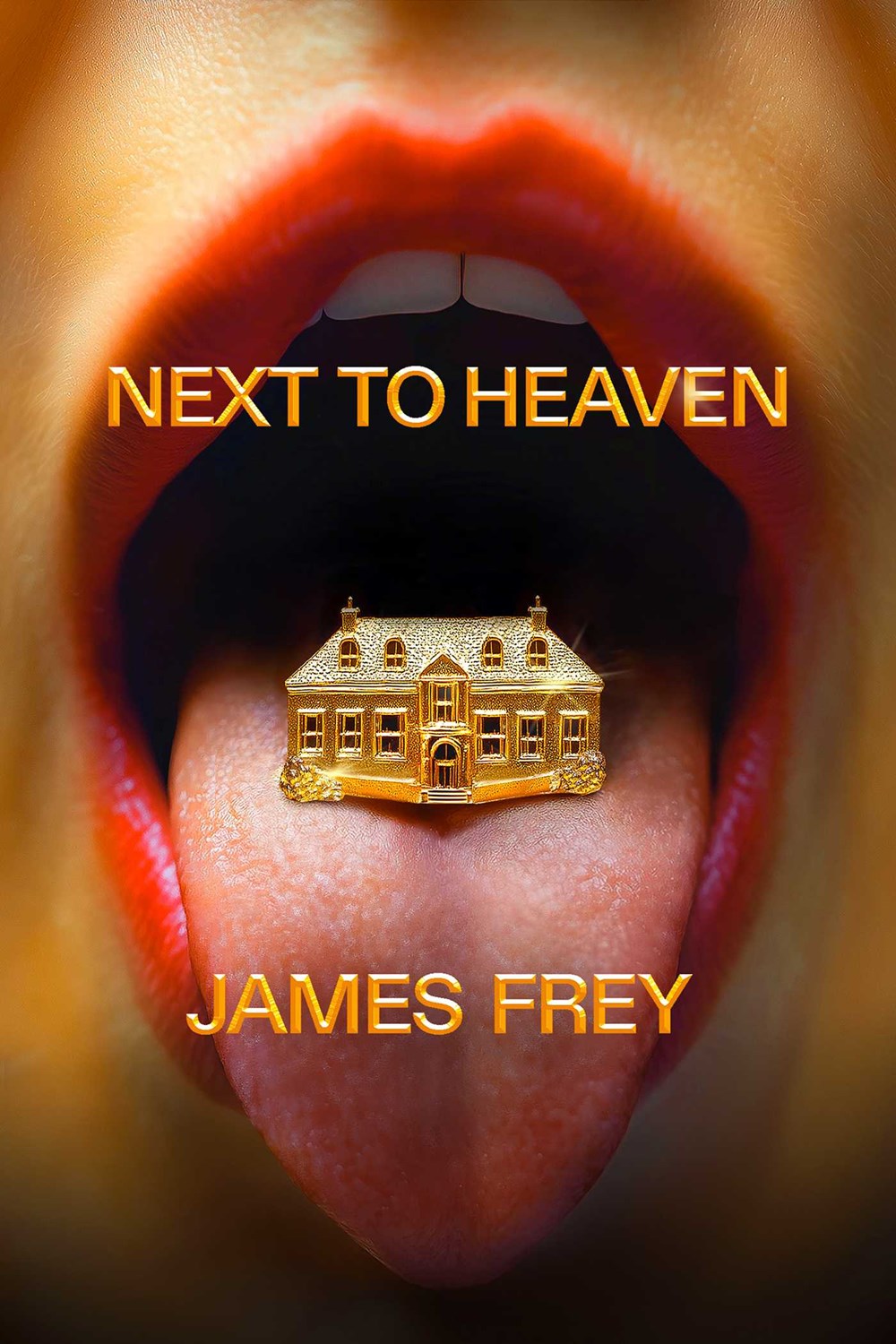 Next to Heaven: A Novel by James Frey (6/17/25)