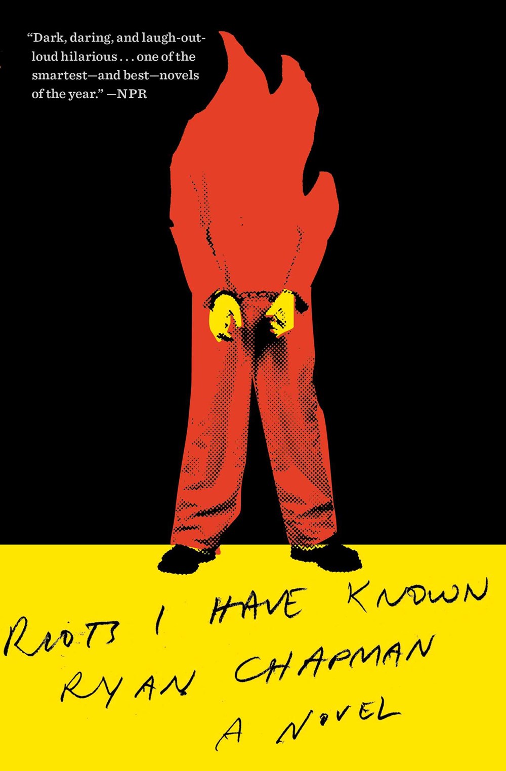 Riots I Have Known: A Novel by Ryan Chapman