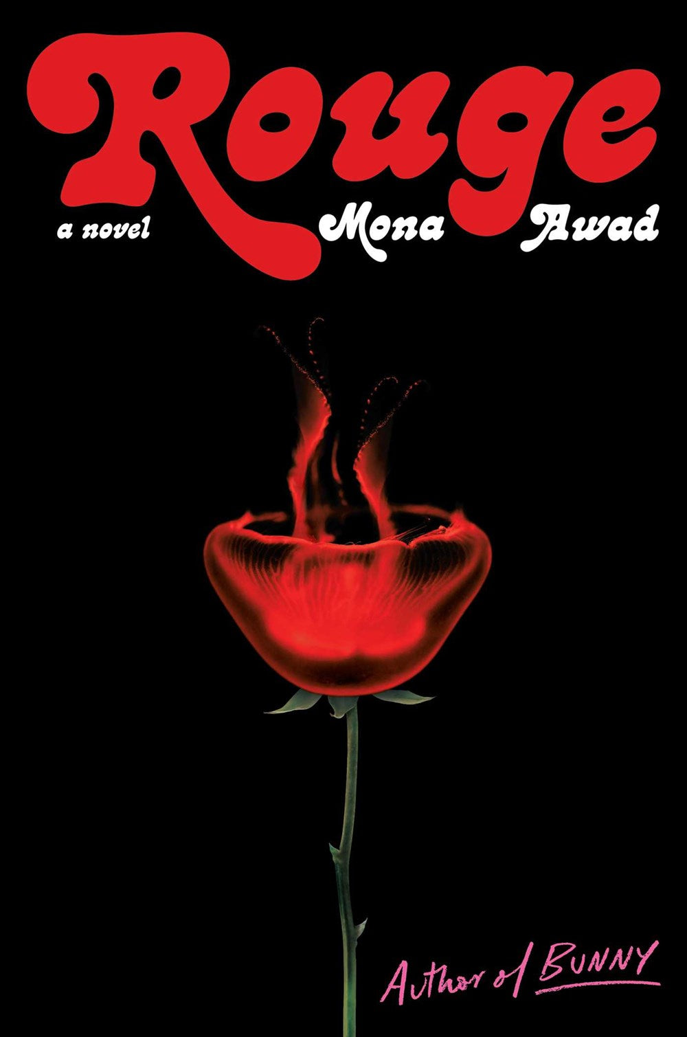 Rouge: A Novel by Mona Awad (9/12/23)