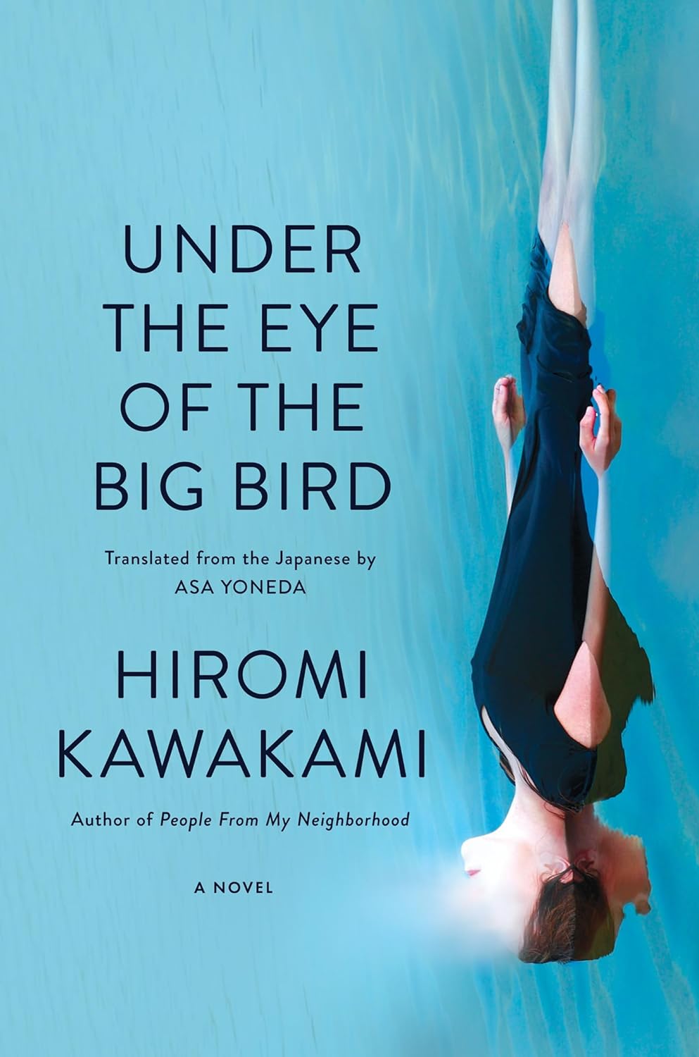 Under the Eye of the Big Bird: A Novel by Hiromi Kawakami (9/3/24)