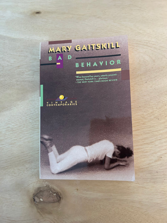 Bad Behavior: Stories by Mary Gaitskill (A Used Vintage Contemporaries Edition)