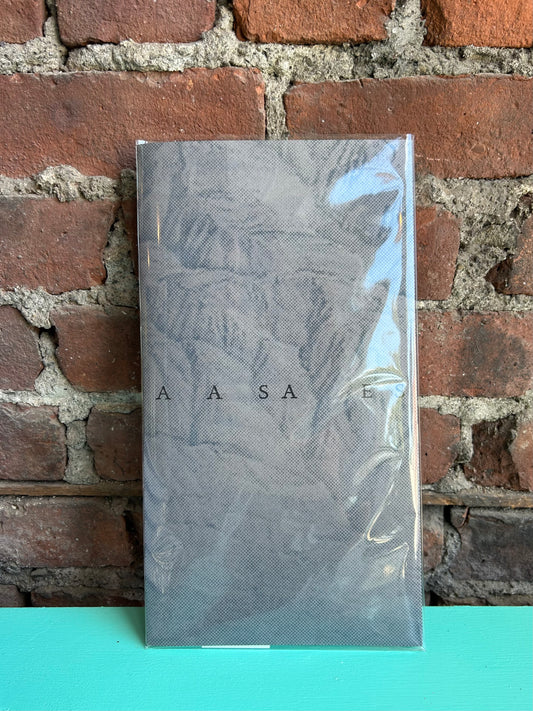 A A SA ES (between the sea and the sea) by Audra Wolowiec (Gravel Projects)