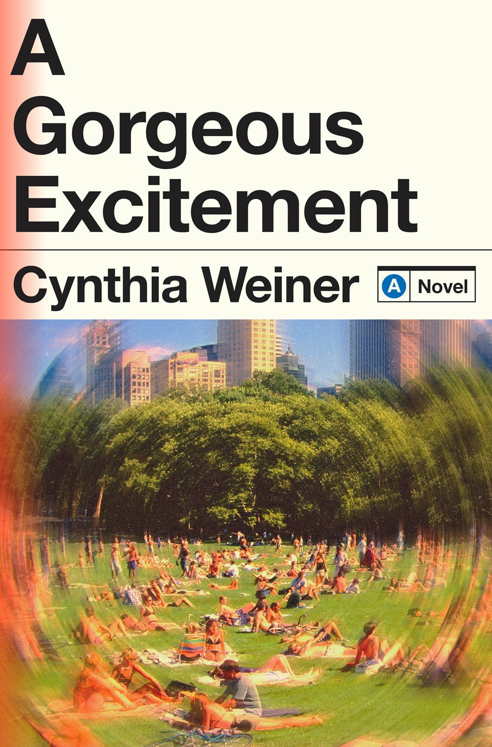 A Gorgeous Excitement: A Novel by Cynthia Weiner (1/21/25)