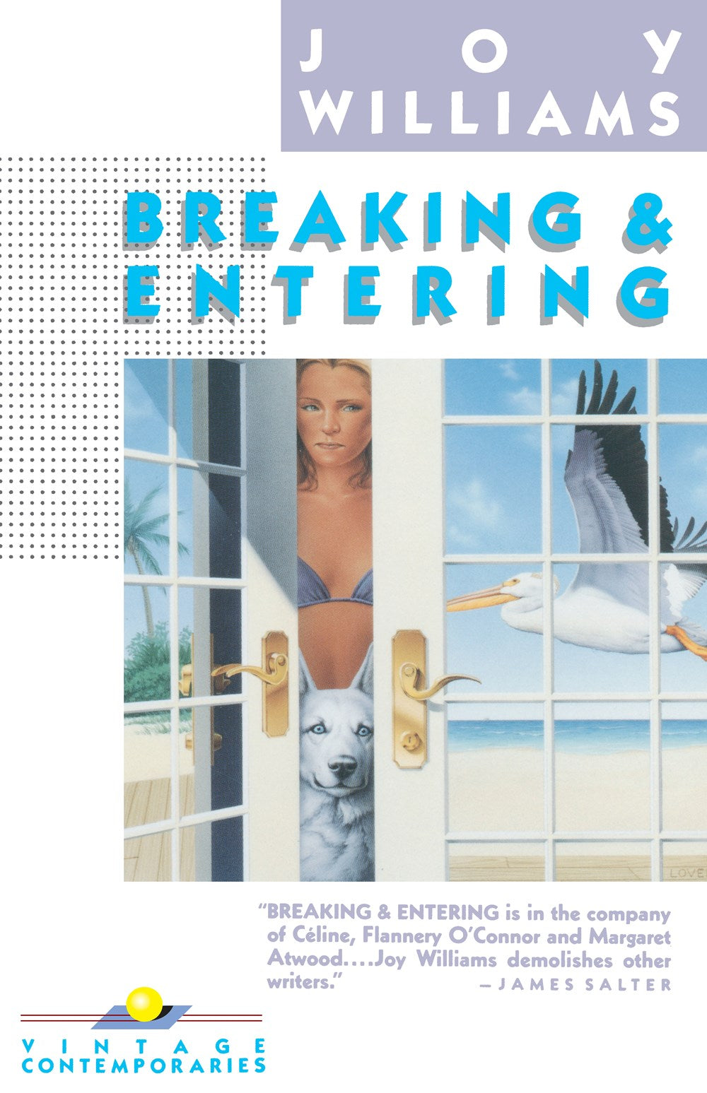 Breaking & Entering by Joy Williams