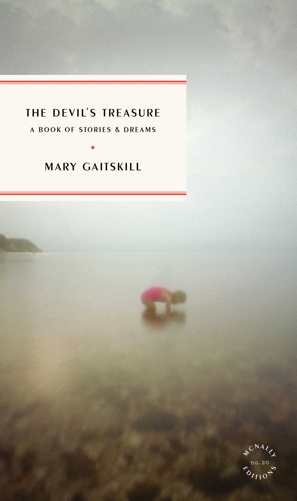 The Devil's Treasure: A Book of Stories and Dreams by Mary Gaitskill