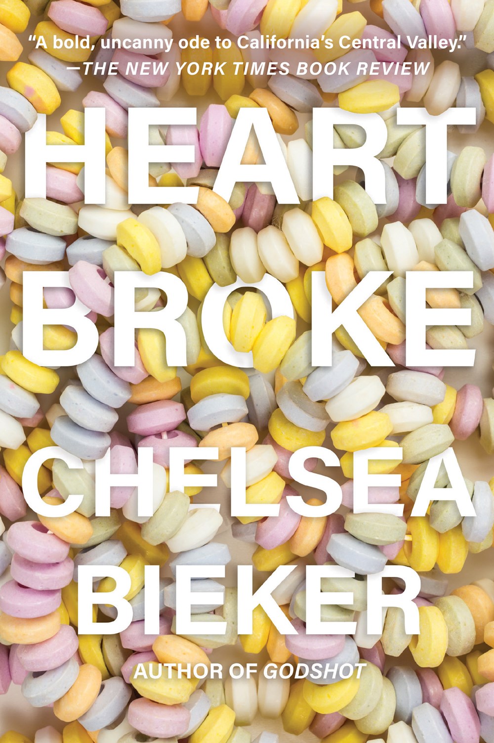 Heartbroke: A Novel by Chelsea Bieker
