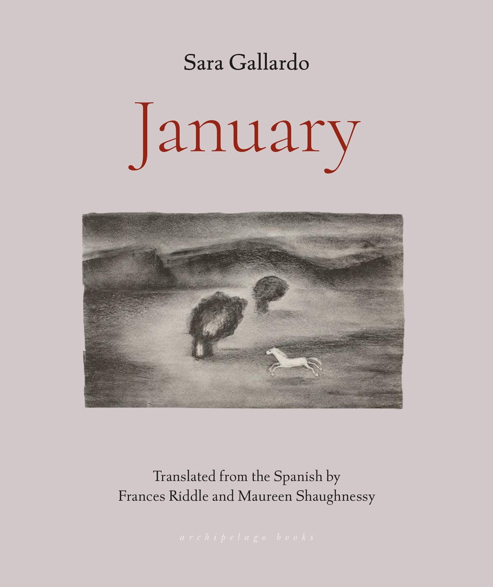 January by Sara Gallardo (Translated from the Spanish by Frances Riddle & Maureen Shaughnessy)