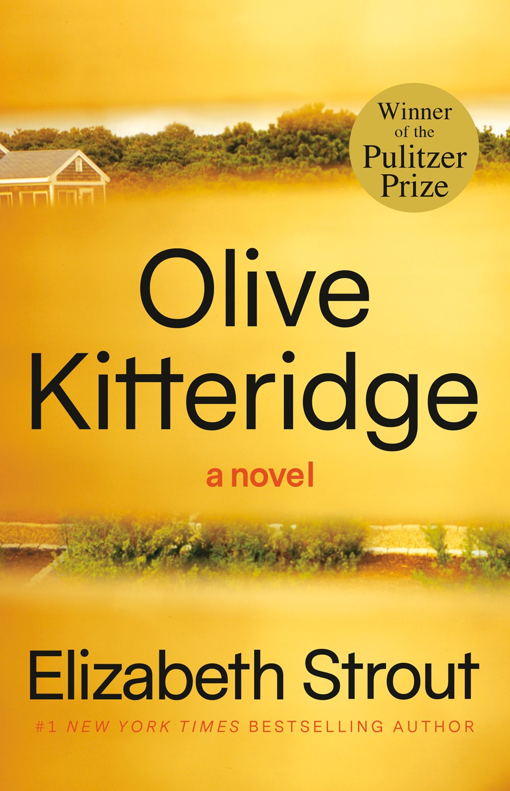 Olive Kitteridge: A Novel by Elizabeth Strout