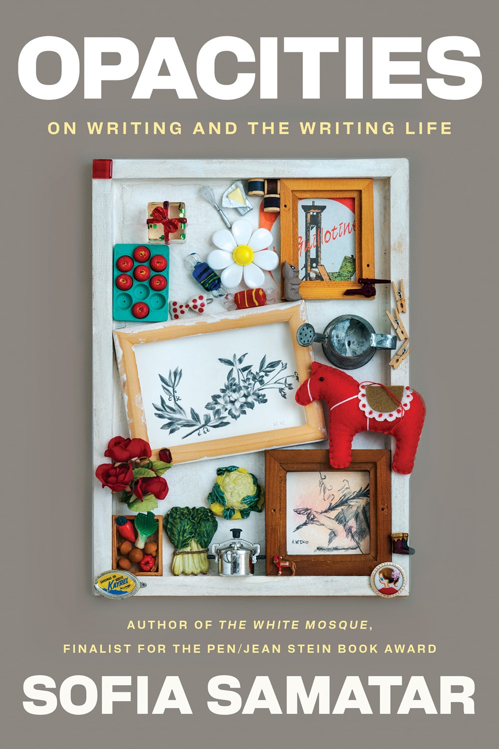 Opacities: On Writing and the Writing Life by Sofia Samatar (8/13/24)