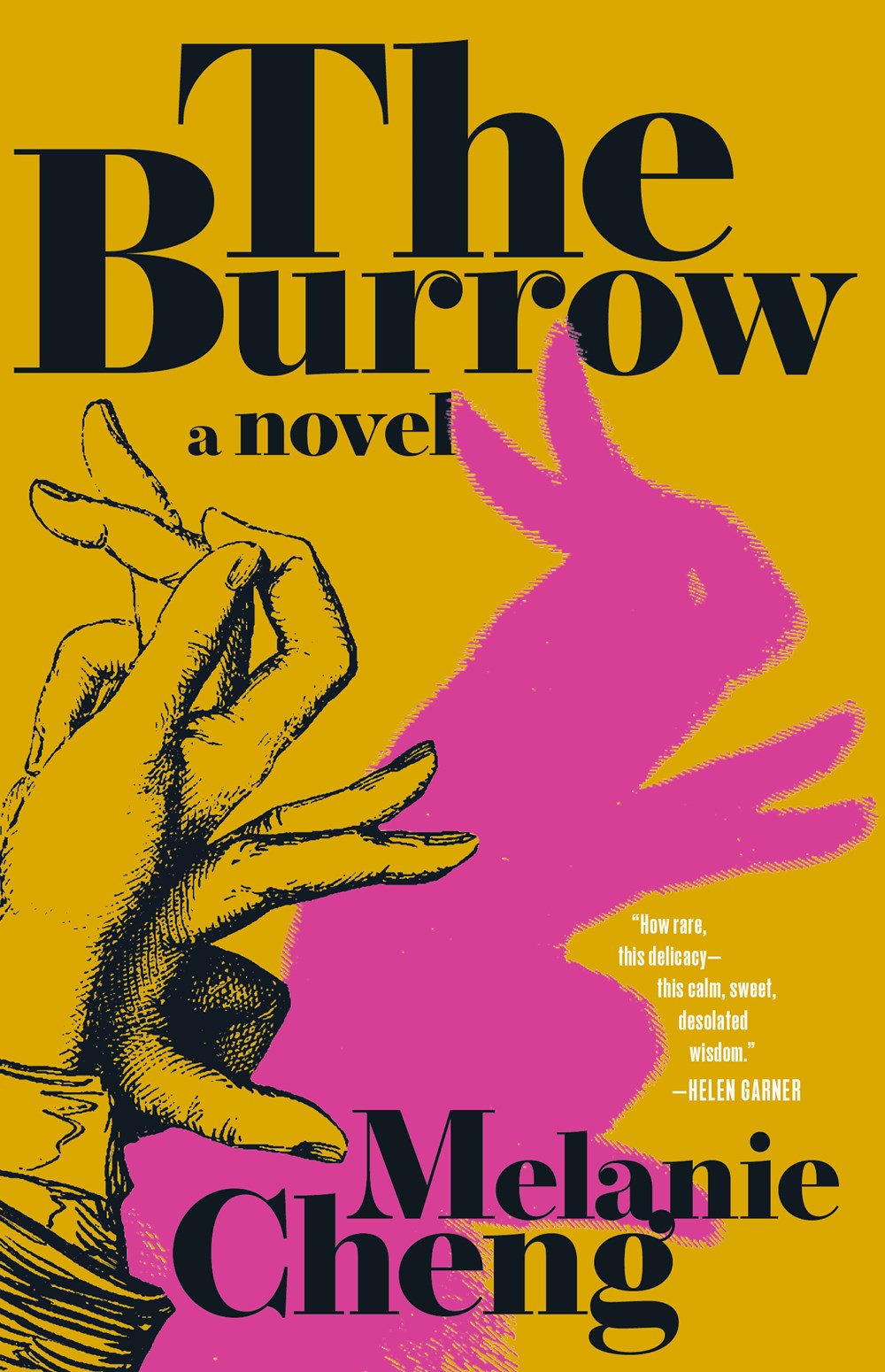 The Burrow: A Novel by Melanie Cheng (11/12/24)