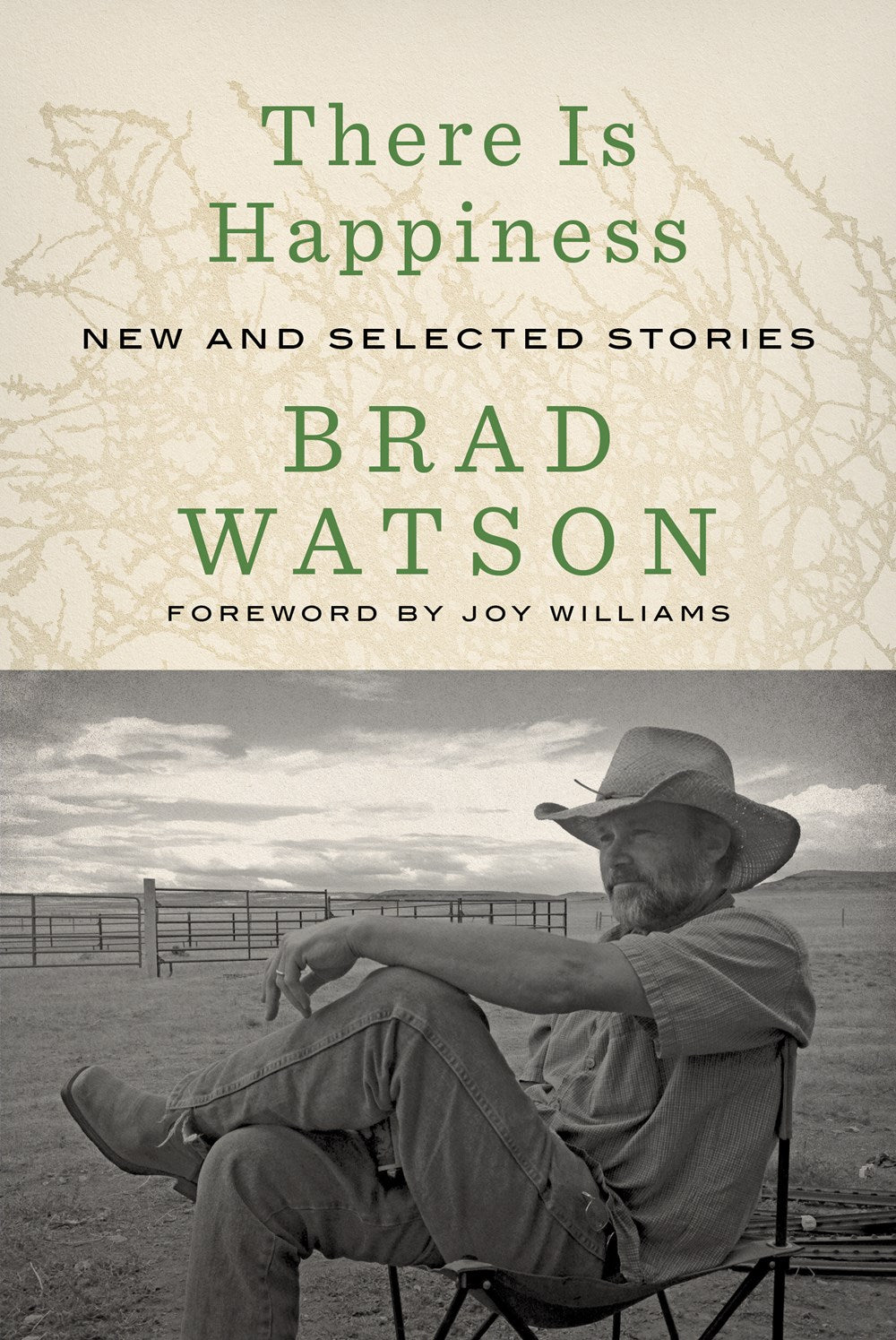 There Is Happiness: New and Selected Stories by Brad Watson