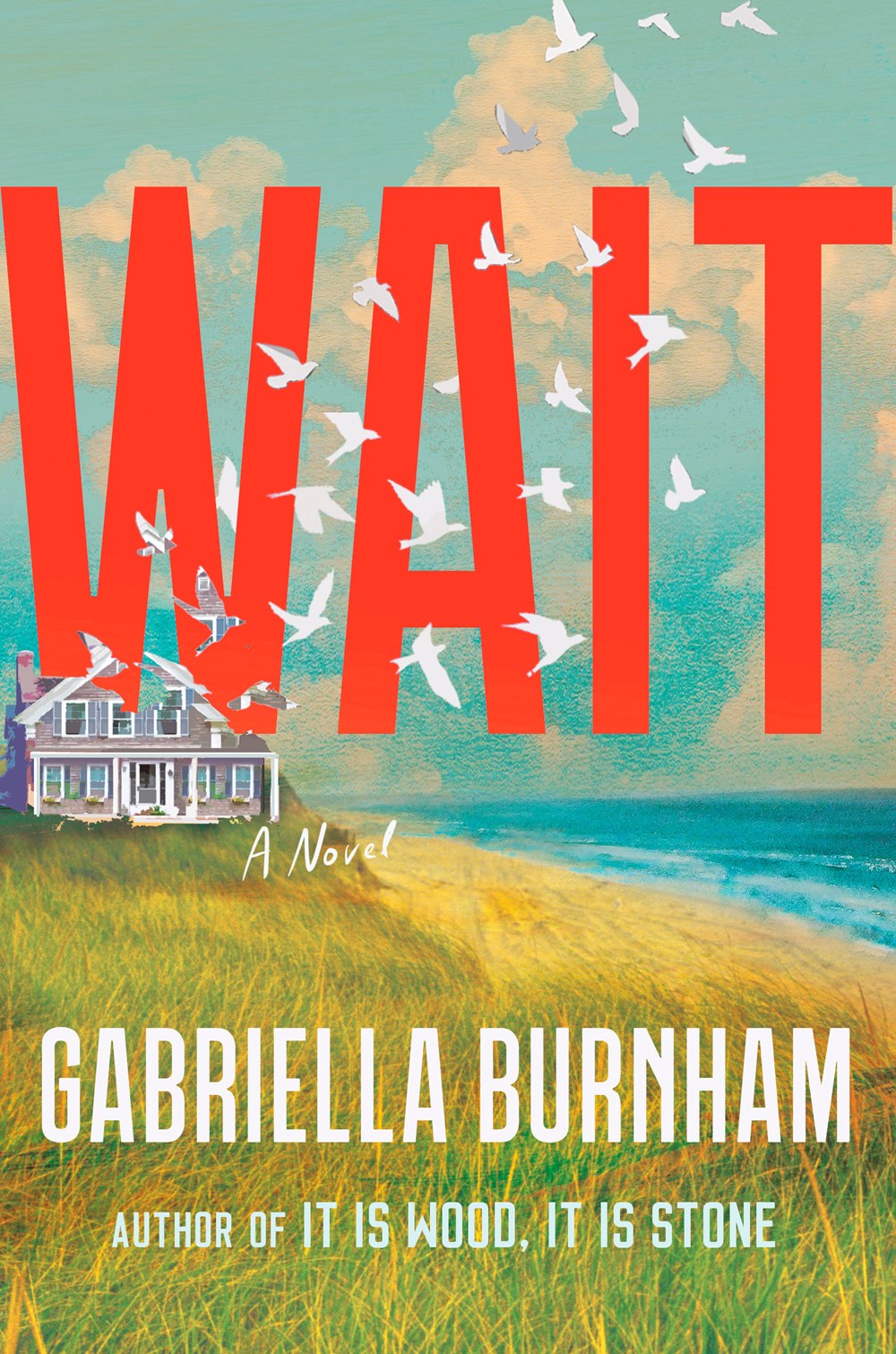 Wait: A Novel by Gabriella Burnham (5/21/24)