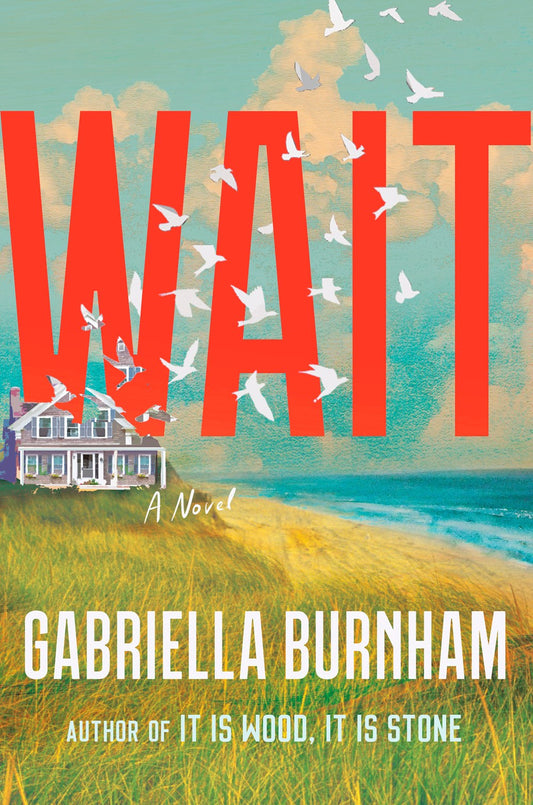 Wait: A Novel by Gabriella Burnham (5/21/24)
