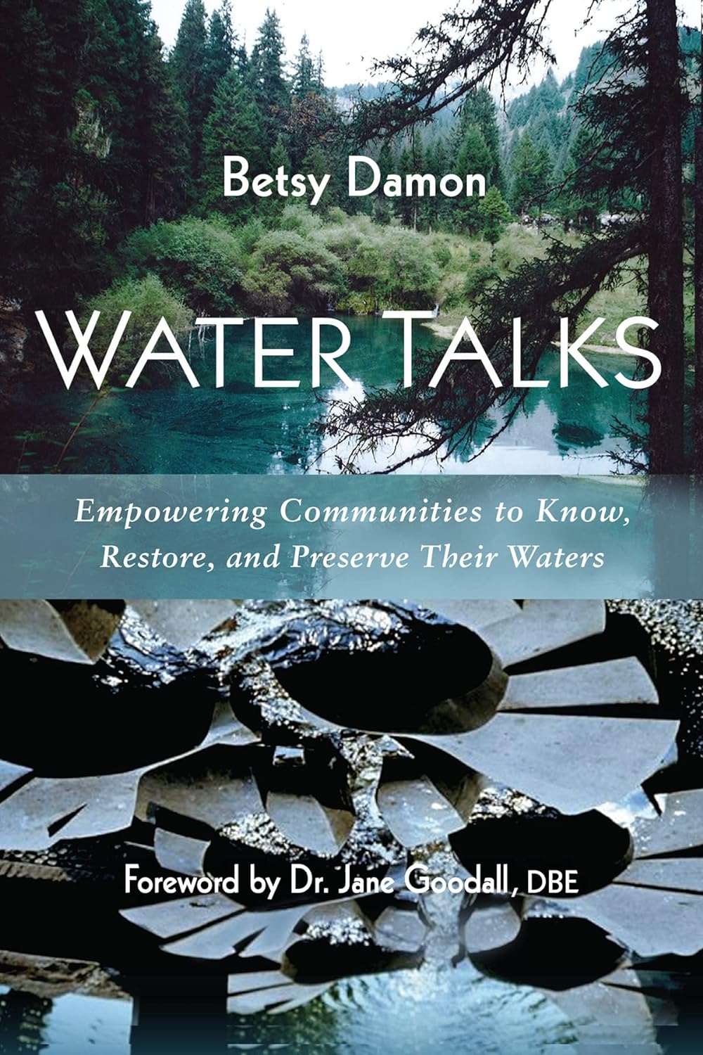 Water Talks: Empowering Communities to Know, Restore, and Preserve Their Waters by Betsy Damon & Jane Goodall