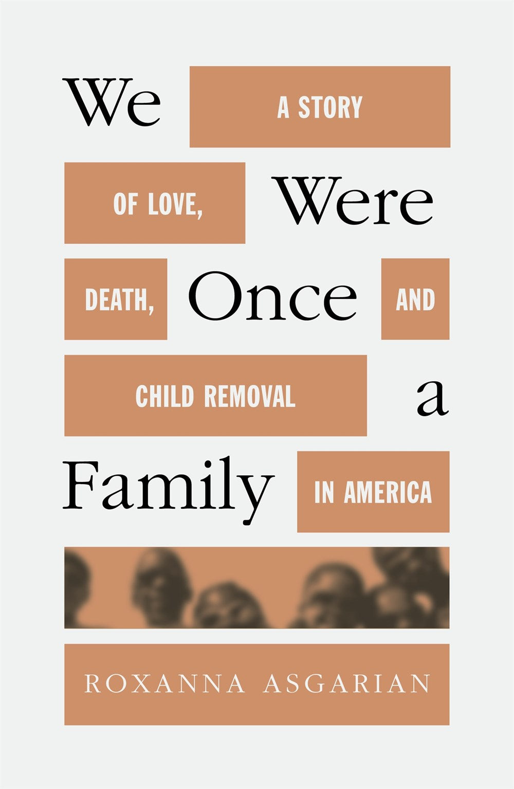 We Were Once a Family: A Story of Love, Death, and Child Removal in America by Roxanna Asgarian